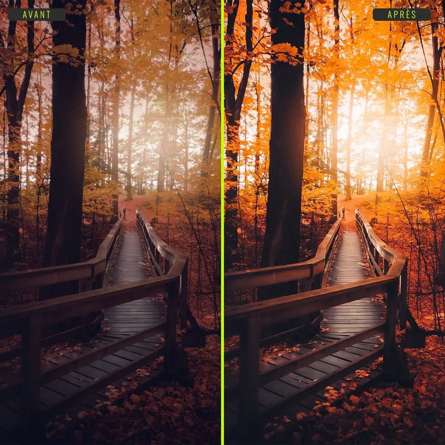 Automne - Presets Lightroom PC/Mac & Mobiles - LightroomPresets.cyou (7)