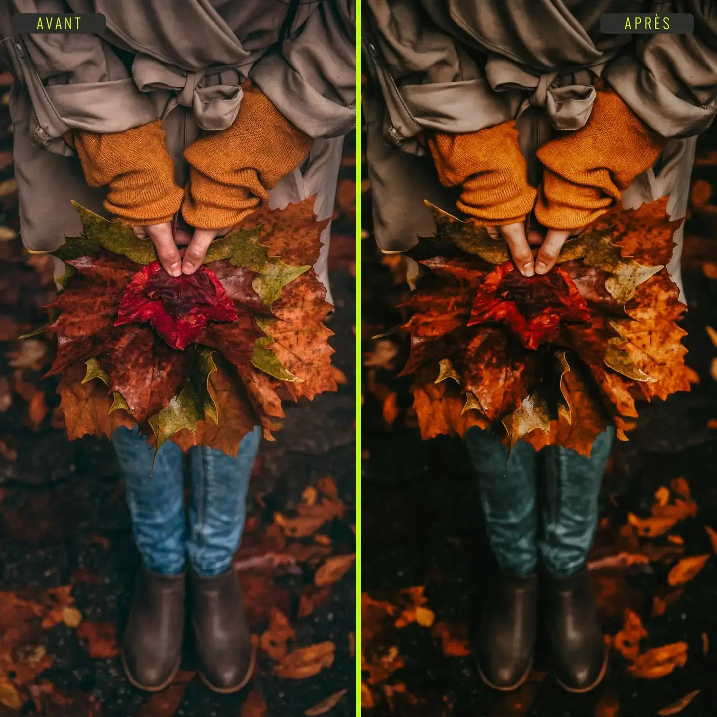 Automne - Presets Lightroom PC/Mac & Mobiles - LightroomPresets.cyou (8)