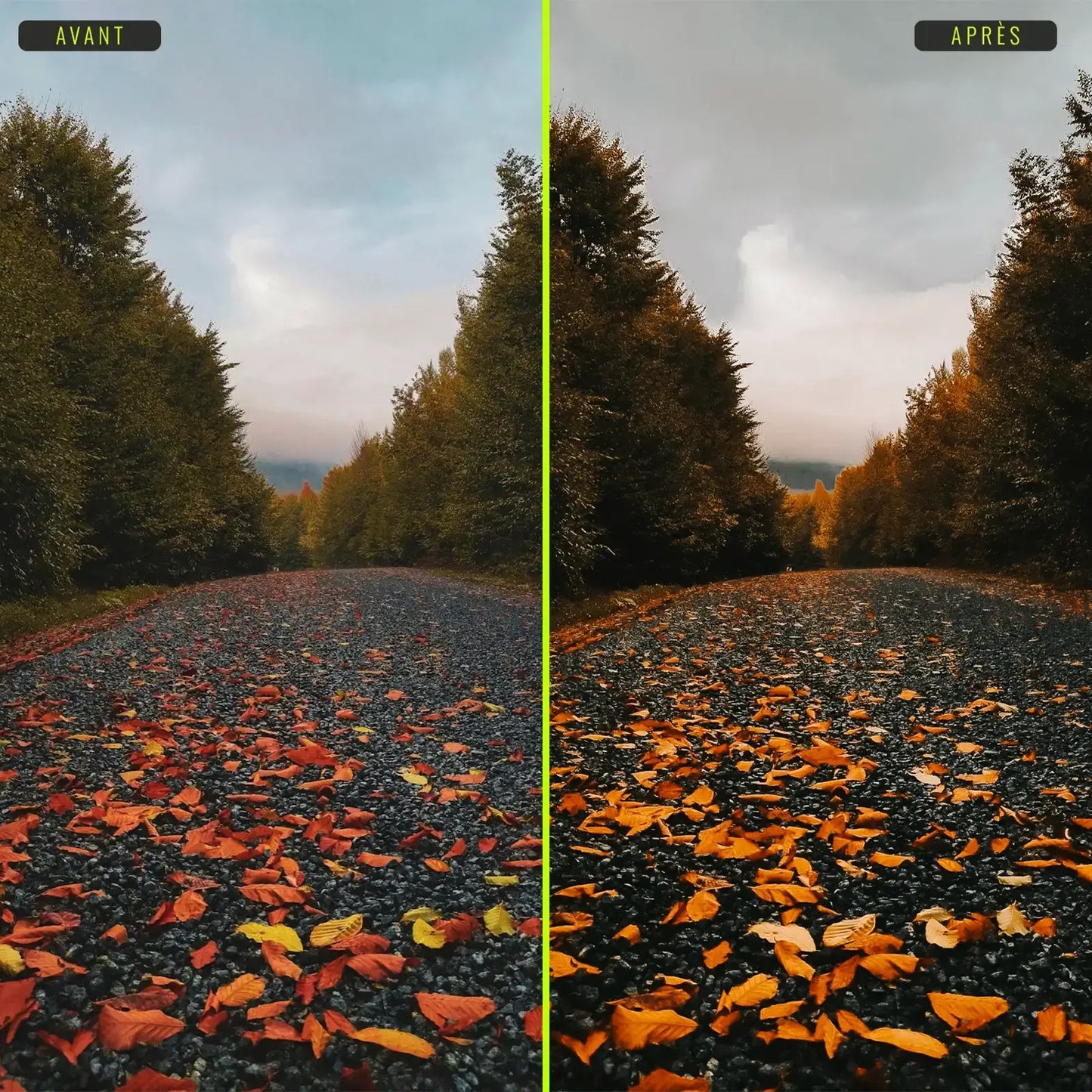 Automne - Presets Lightroom PC/Mac & Mobiles - LightroomPresets.cyou (9)