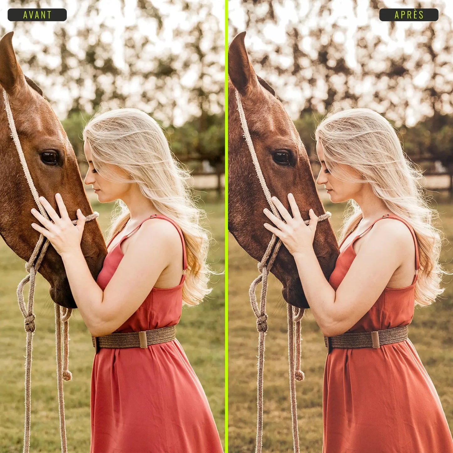 Cinema (films) - Presets Lightroom PC/Mac & Mobiles - LightroomPresets.cyou (5)