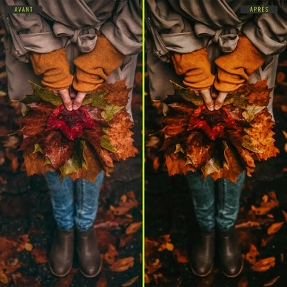 Automne - Presets Lightroom PC/Mac & Mobiles - LightroomPresets.cyou (8)