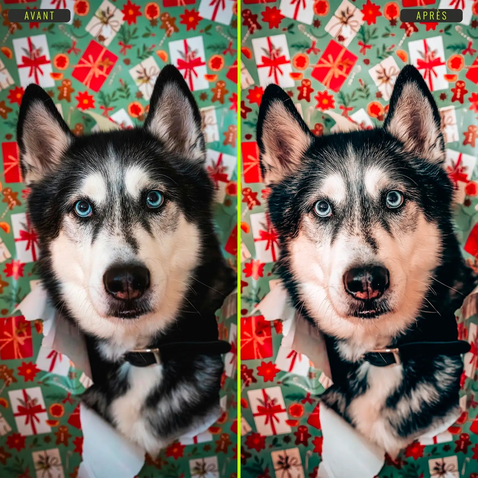 Festif - Presets Lightroom PC/Mac & Mobiles - LightroomPresets.cyou (6)