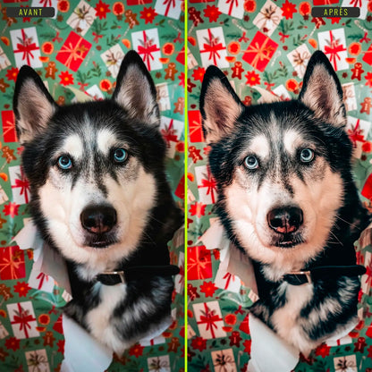 Festif - Presets Lightroom PC/Mac & Mobiles - LightroomPresets.cyou (6)